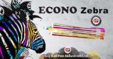 Econo ball pen in Bangladesh
